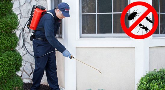 Koyulhisar Tahtakurusu İlaçlama böcek ilaçlama ve haşere kontrolü — ilaclama-tr.com